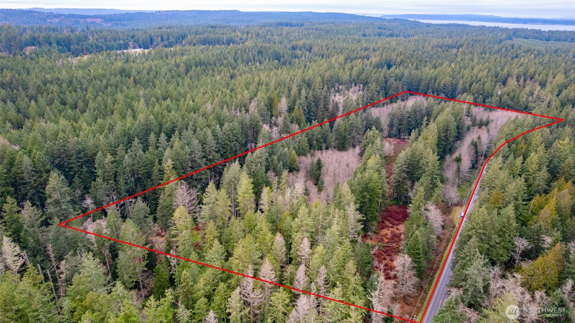 -xxx Coles Road Langley, WA 98260 - Photo 5 of 6 a view of a houses with a lush green forest