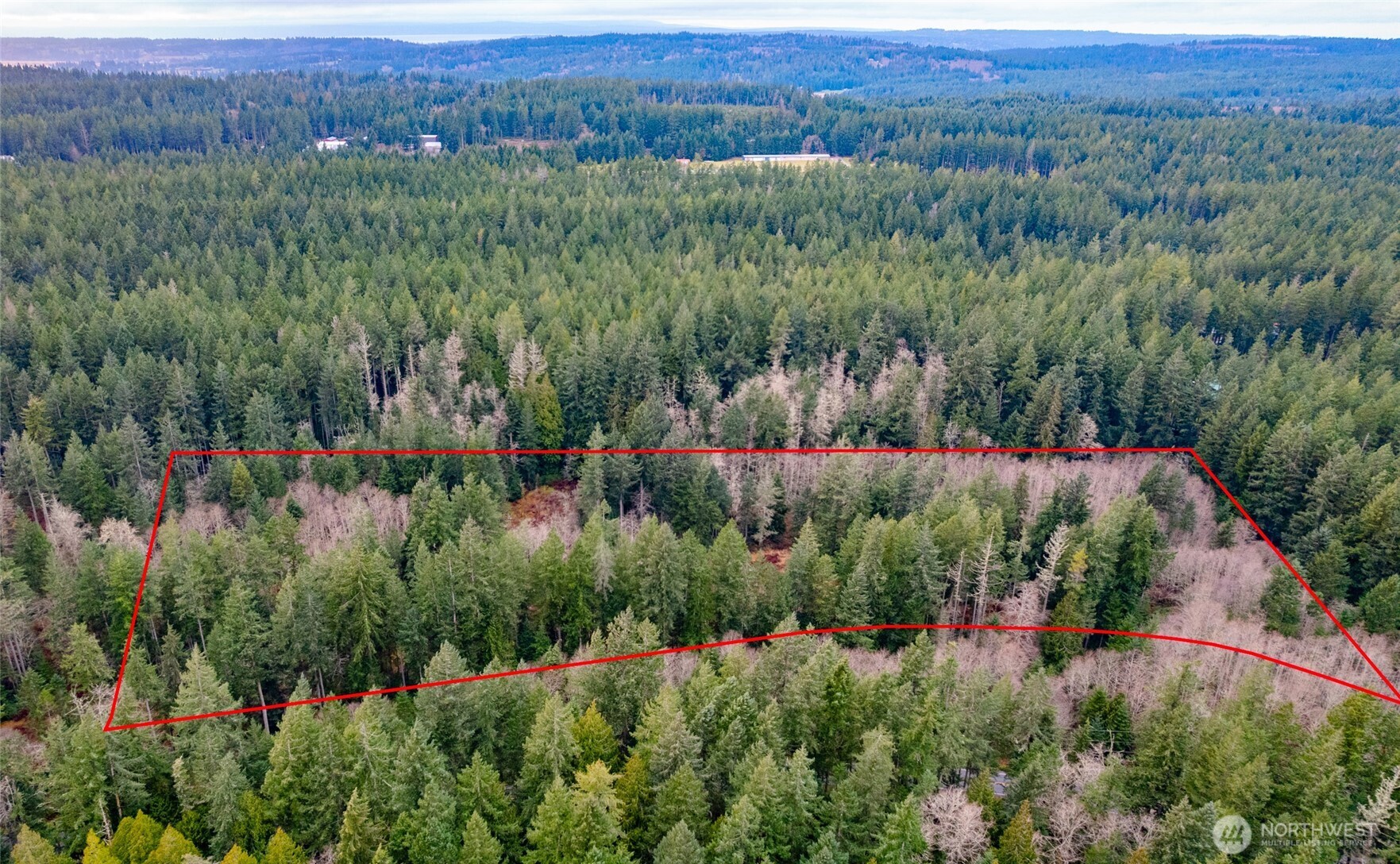 -xxx Coles Road Langley, WA 98260 - Photo 6 of 6 a view of a lush green field with lots of plants and trees