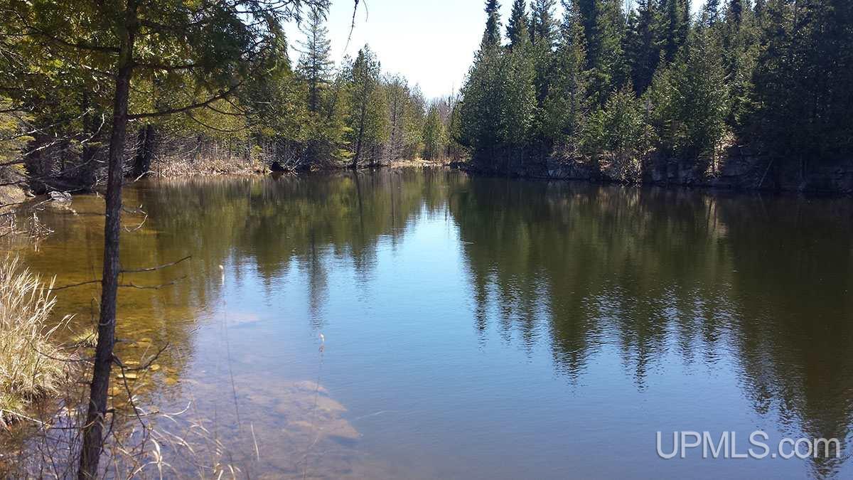 Tbd 240 Acres Off Belgium Road Manistique, MI 49854 - Photo 18 of 35
