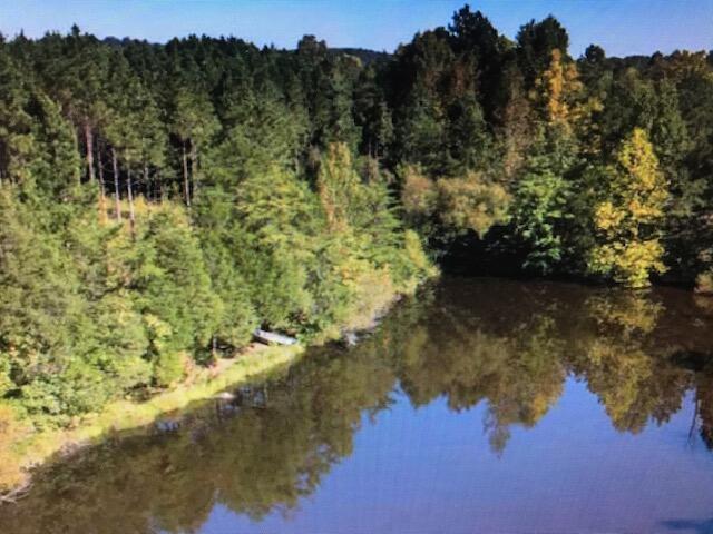 17 Athens Road Calhoun, TN 37309 - Photo 1 of 23 CHestuee 17 POND