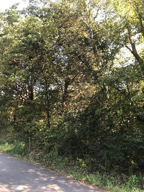 17 Athens Road Calhoun, TN 37309 - Photo 22 of 23 CHestuee 17 road view