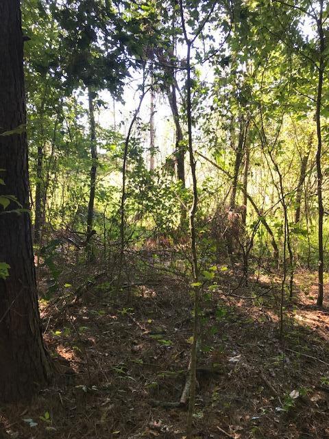 17 Athens Road Calhoun, TN 37309 - Photo 23 of 23 Chestuee 17 treeline
