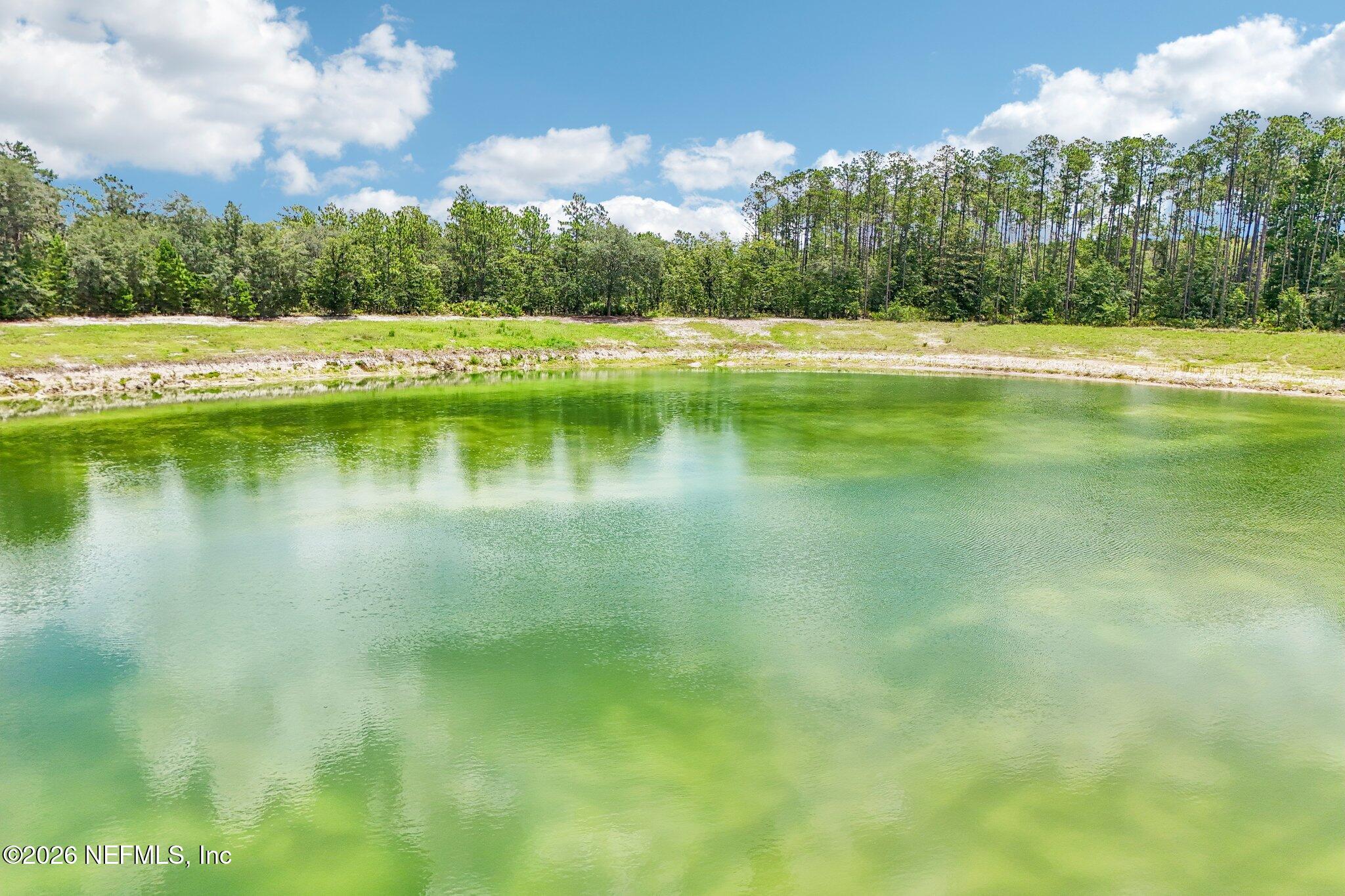 0 Thunder Road Middleburg, FL 32068 - Photo 13 of 19 11-web-or-mls-Thunder Rd-S1707-011