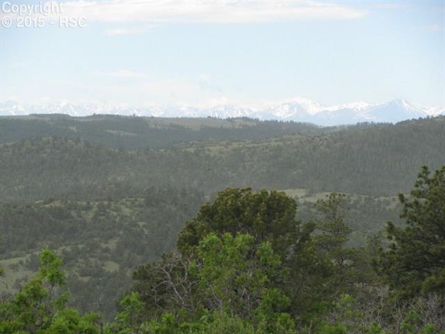 519 Cheyenne Road Florissant, CO 80816 - Photo 2 of 14