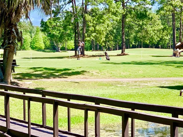 a view of a park with a mountain view