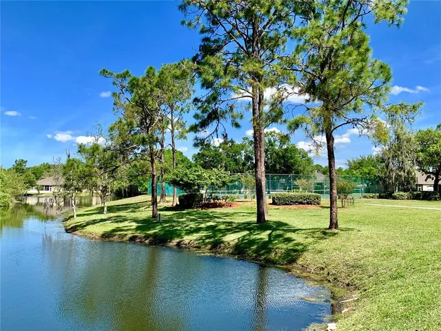a view of a garden with a tree