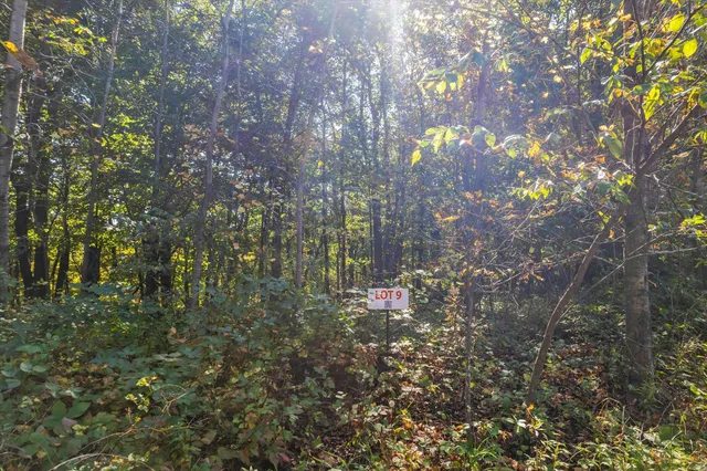 $14,989 | 802 Dutch Hollow Drive, La Valle, WI 53941