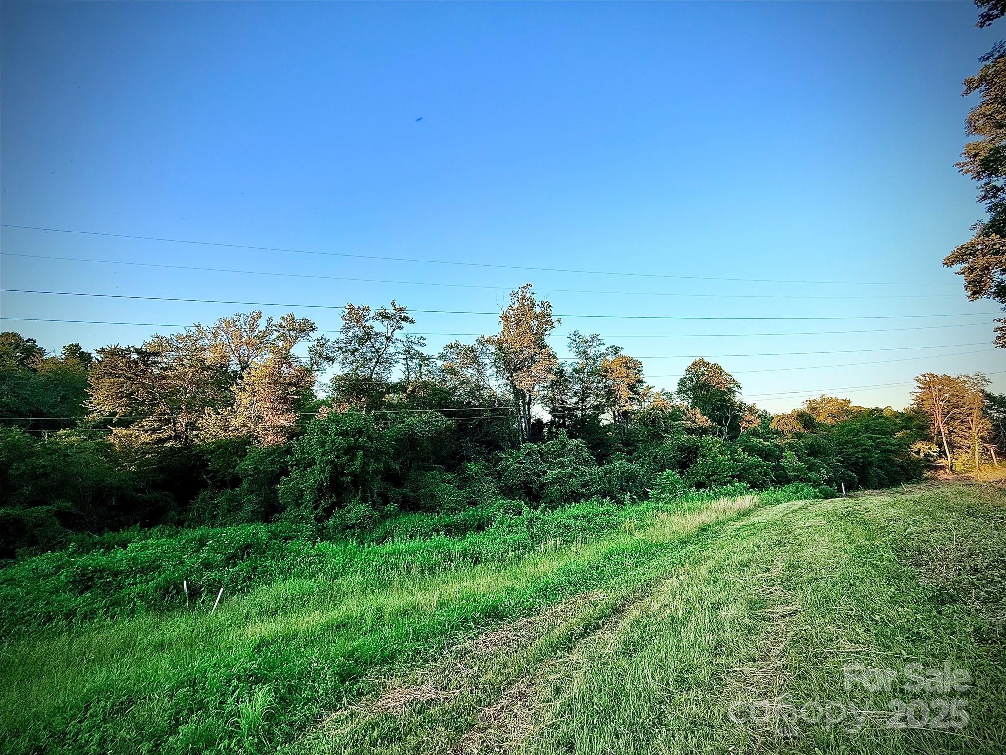 520 Loop Road Hendersonville, NC 28792 - Photo 17 of 39