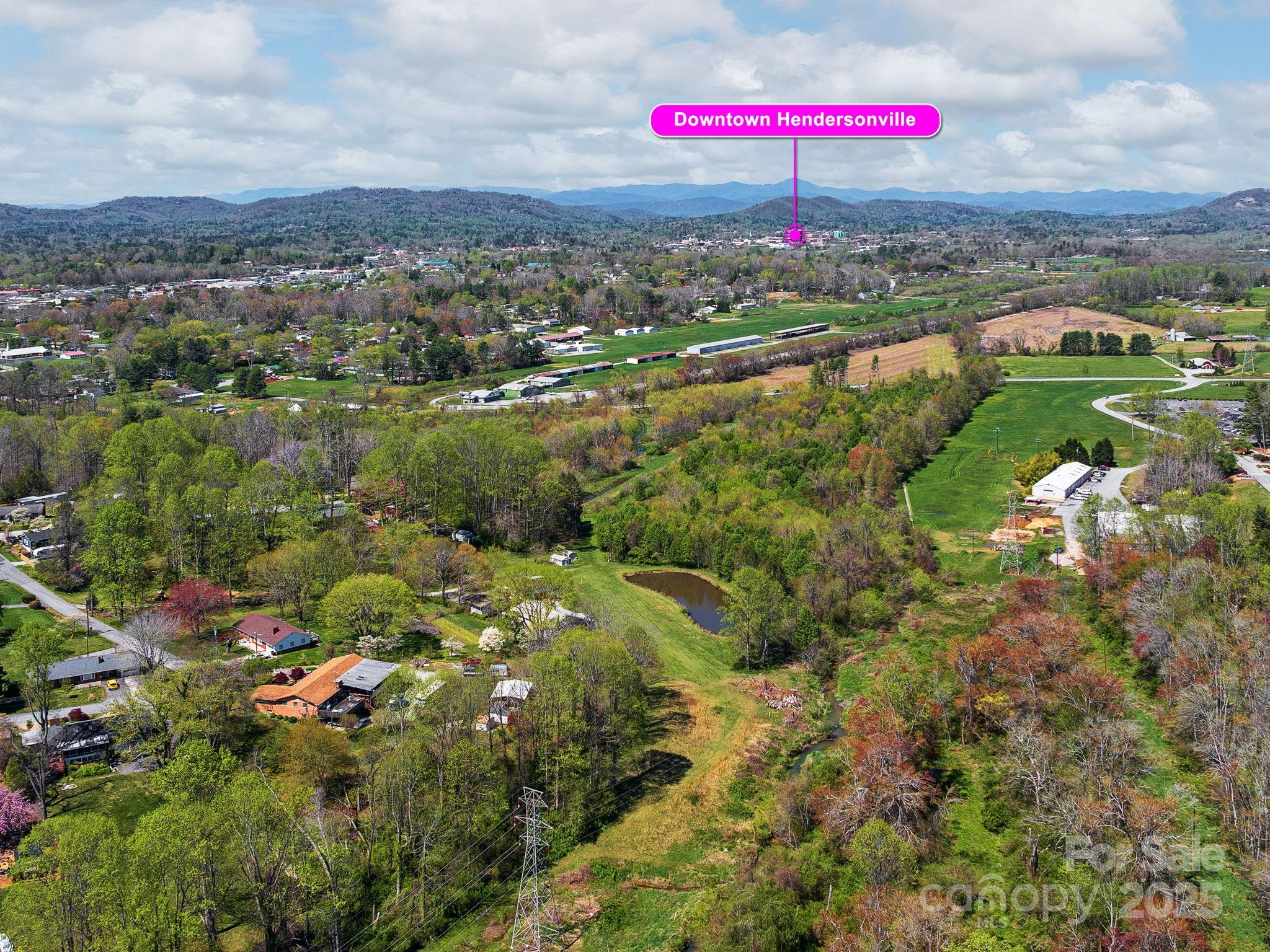 520 Loop Road Hendersonville, NC 28792 - Photo 24 of 39