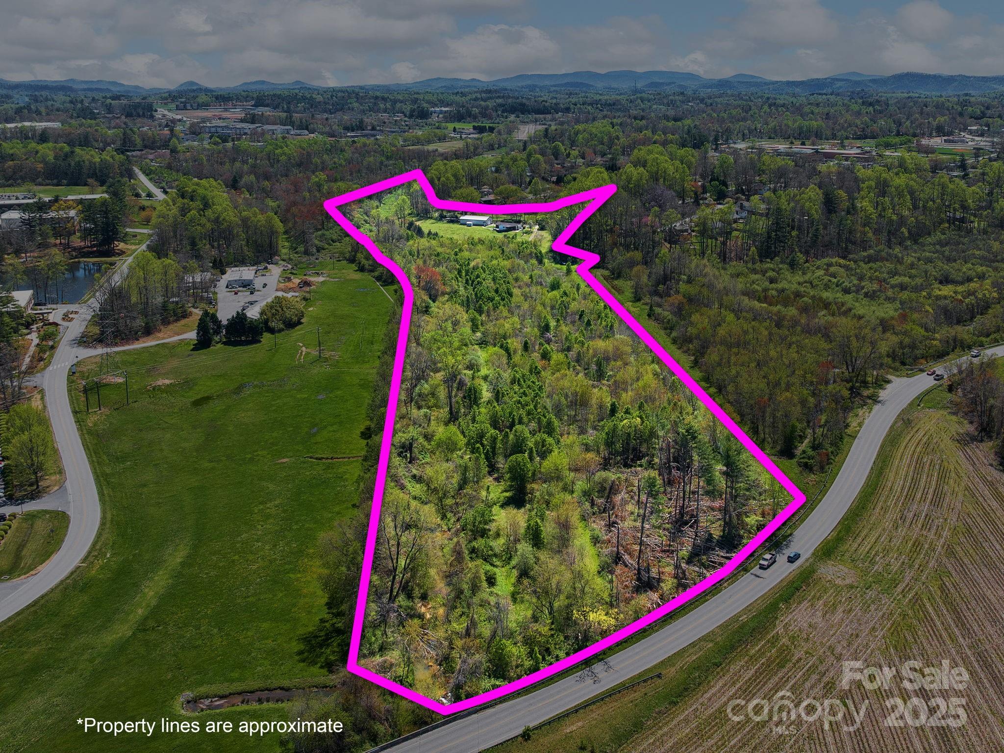 520 Loop Road Hendersonville, NC 28792 - Photo 25 of 39