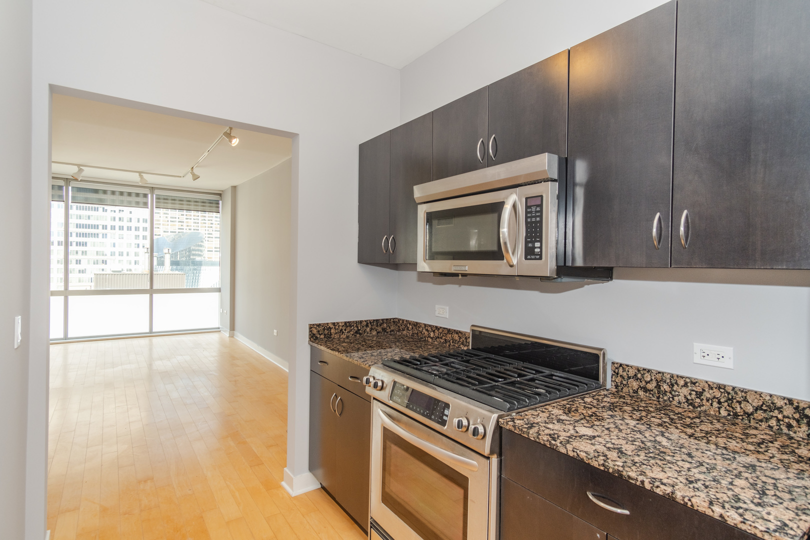 8 East Randolph Street, Unit 1806 Chicago, IL 60601 - Photo 12 of 23 a kitchen with a stove and a microwave