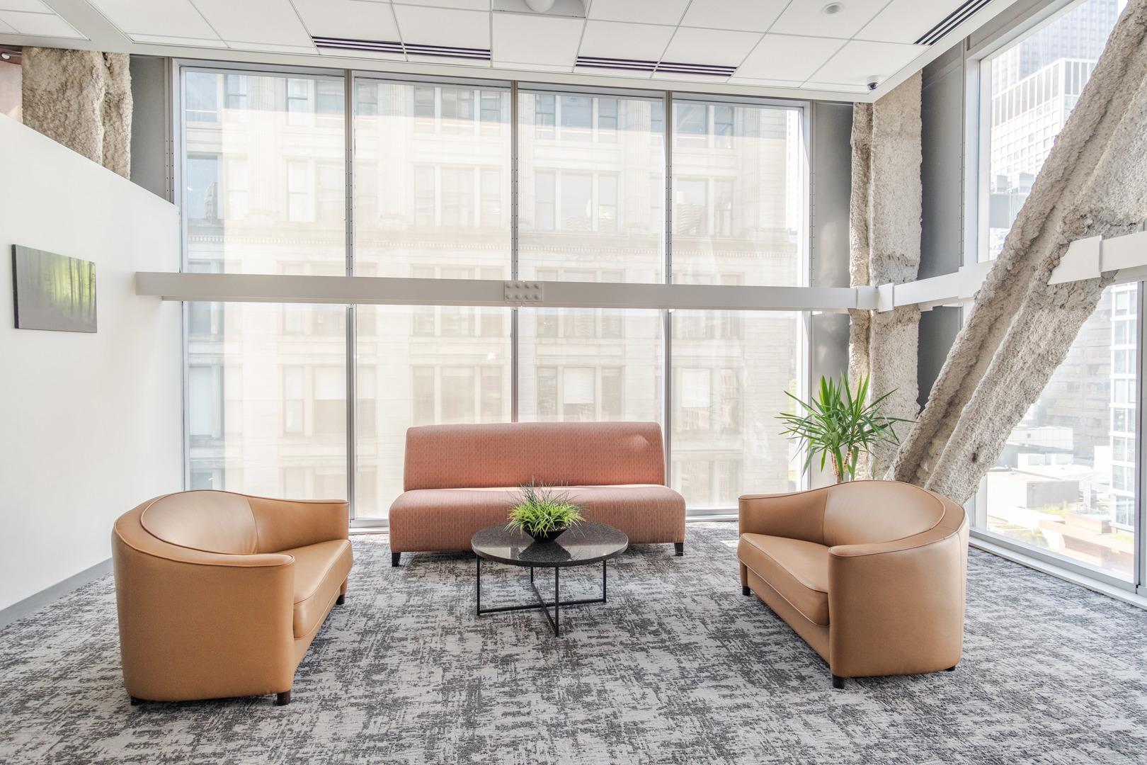 8 East Randolph Street, Unit 1806 Chicago, IL 60601 - Photo 4 of 23 a living room with furniture and a potted plant