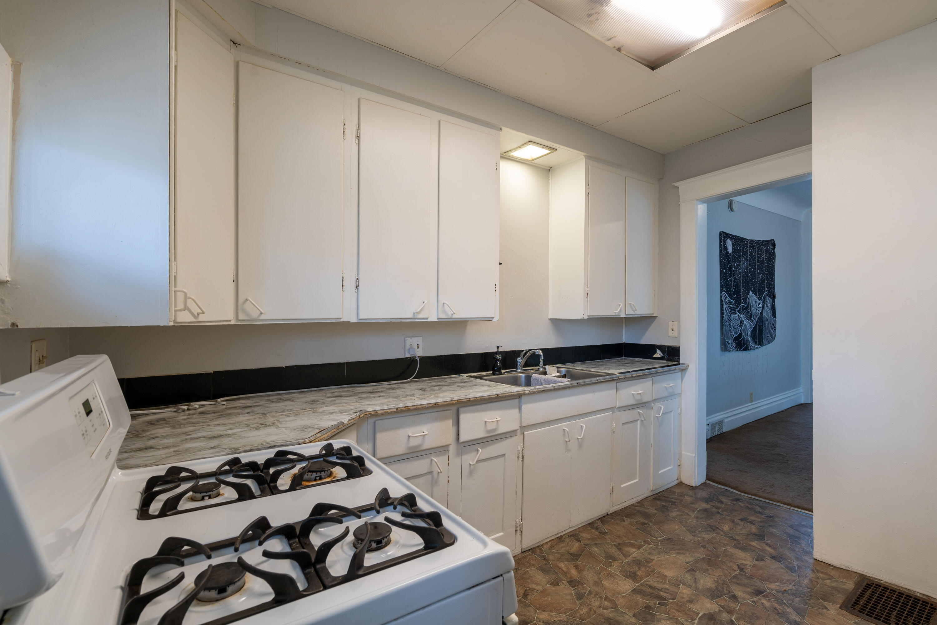 608 Reed Street Kalamazoo, MI 49001 - Photo 12 of 24 Kalamazoo bi-level (5 of 23)