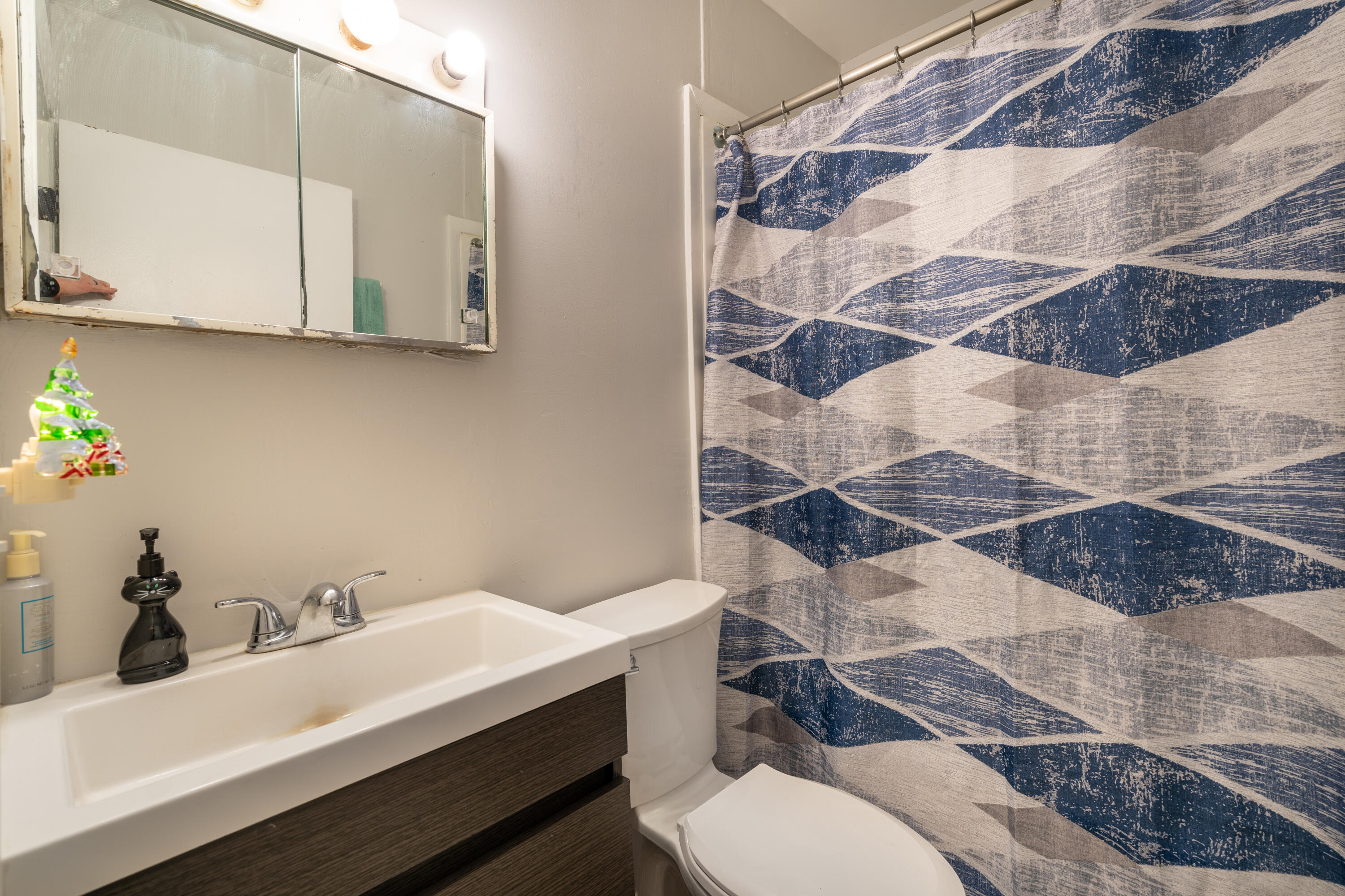 608 Reed Street Kalamazoo, MI 49001 - Photo 15 of 24 Kalamazoo bi-level (2 of 23)