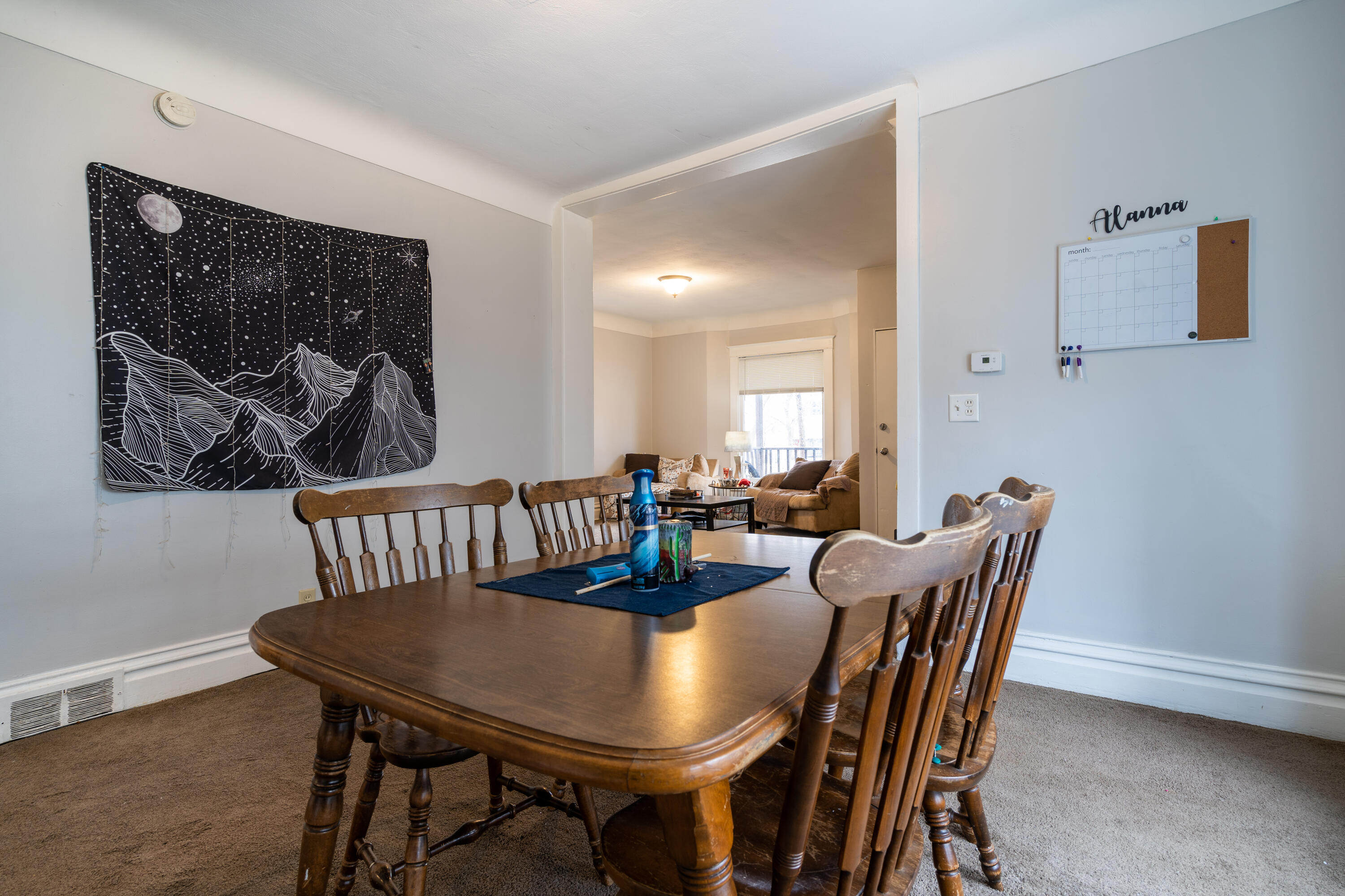 608 Reed Street Kalamazoo, MI 49001 - Photo 9 of 24 Kalamazoo bi-level (8 of 23)