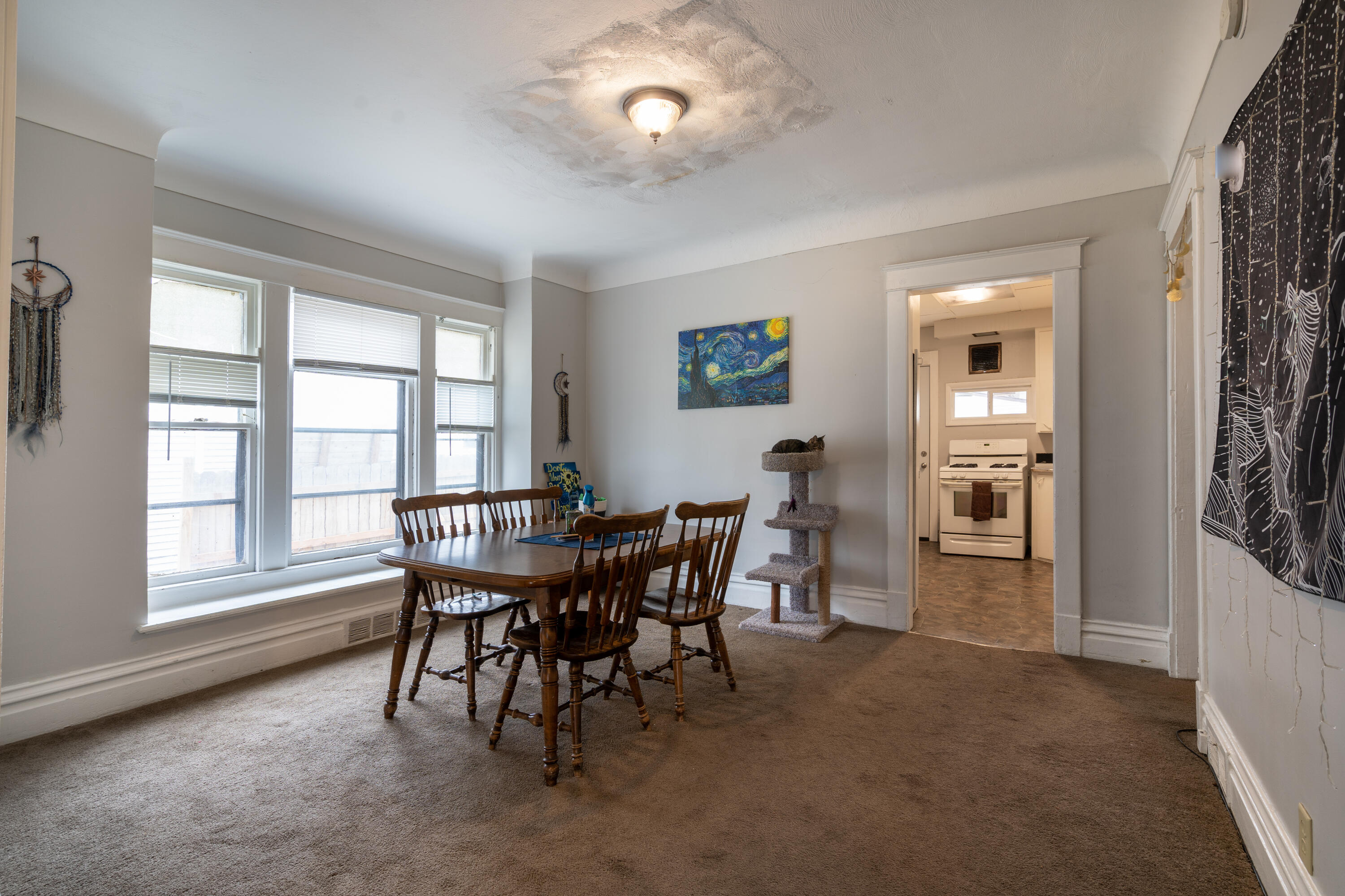 608 Reed Street Kalamazoo, MI 49001 - Photo 10 of 24 Kalamazoo bi-level (7 of 23)