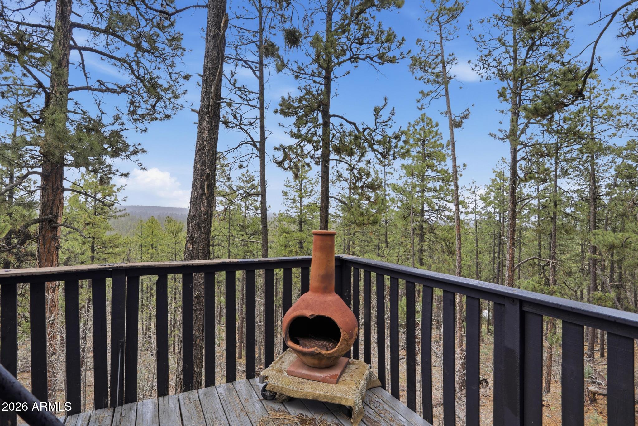 1725 Turkey Mountain Road Happy Jack, AZ 86024 - Photo 11 of 18 a view of a balcony with outdoor space