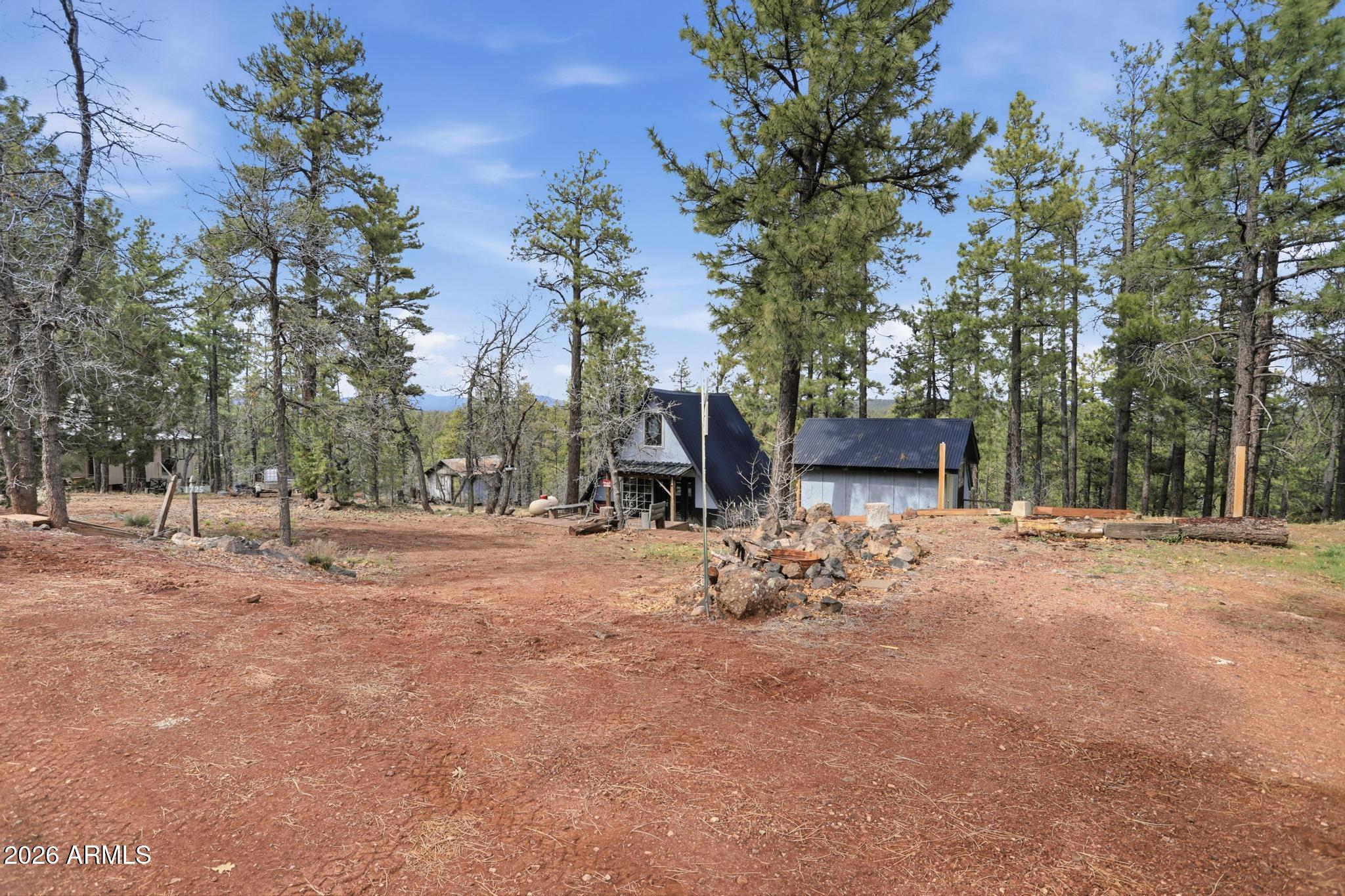 1725 Turkey Mountain Road Happy Jack, AZ 86024 - Photo 17 of 18 a view of a outdoor space with a tree