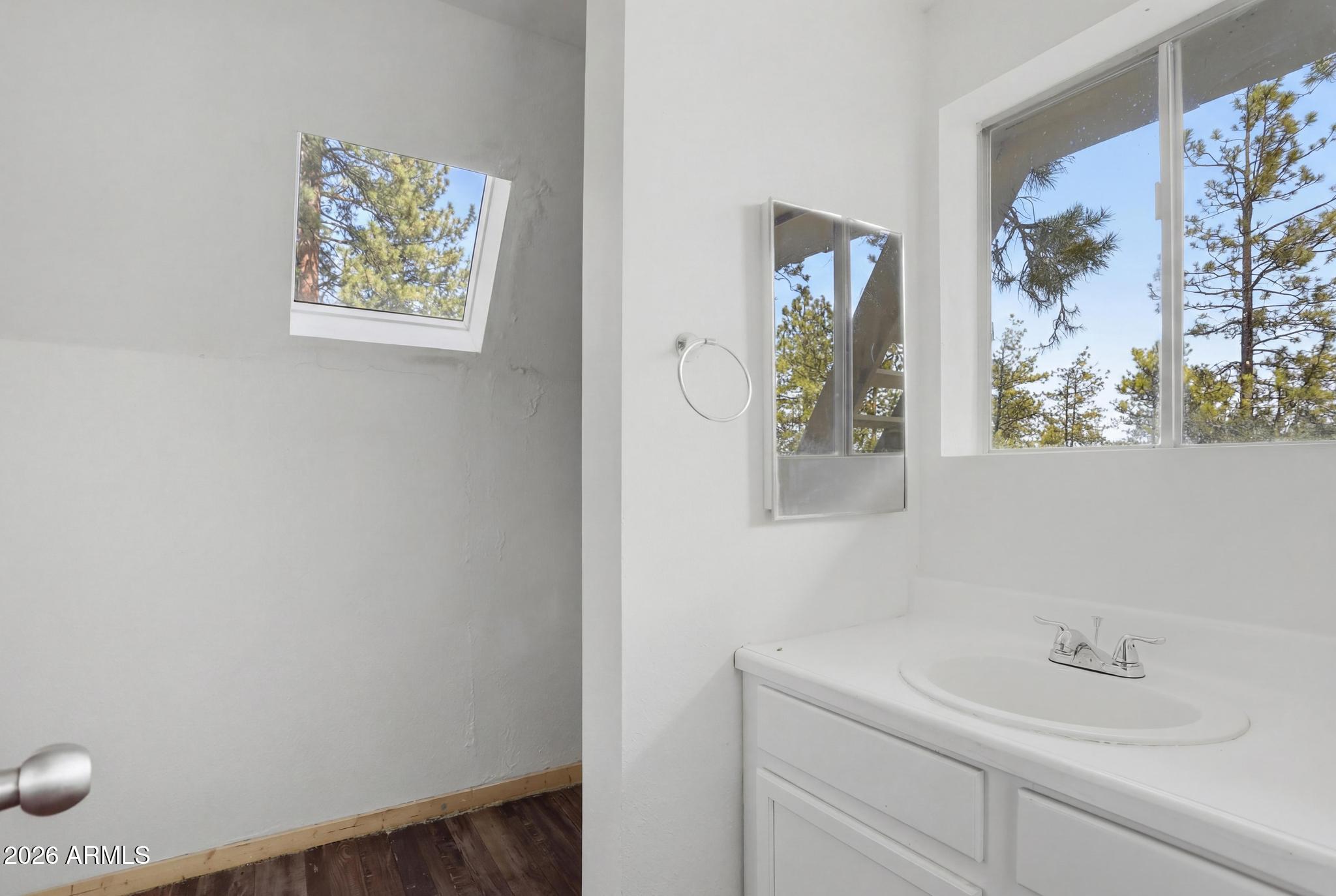 1725 Turkey Mountain Road Happy Jack, AZ 86024 - Photo 8 of 18 a bathroom with a sink and a mirror