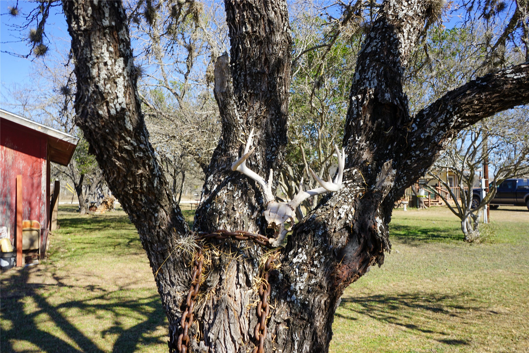 831 Magers Road Concan, TX 78838 - Photo 29 of 39 View of grassy yard
