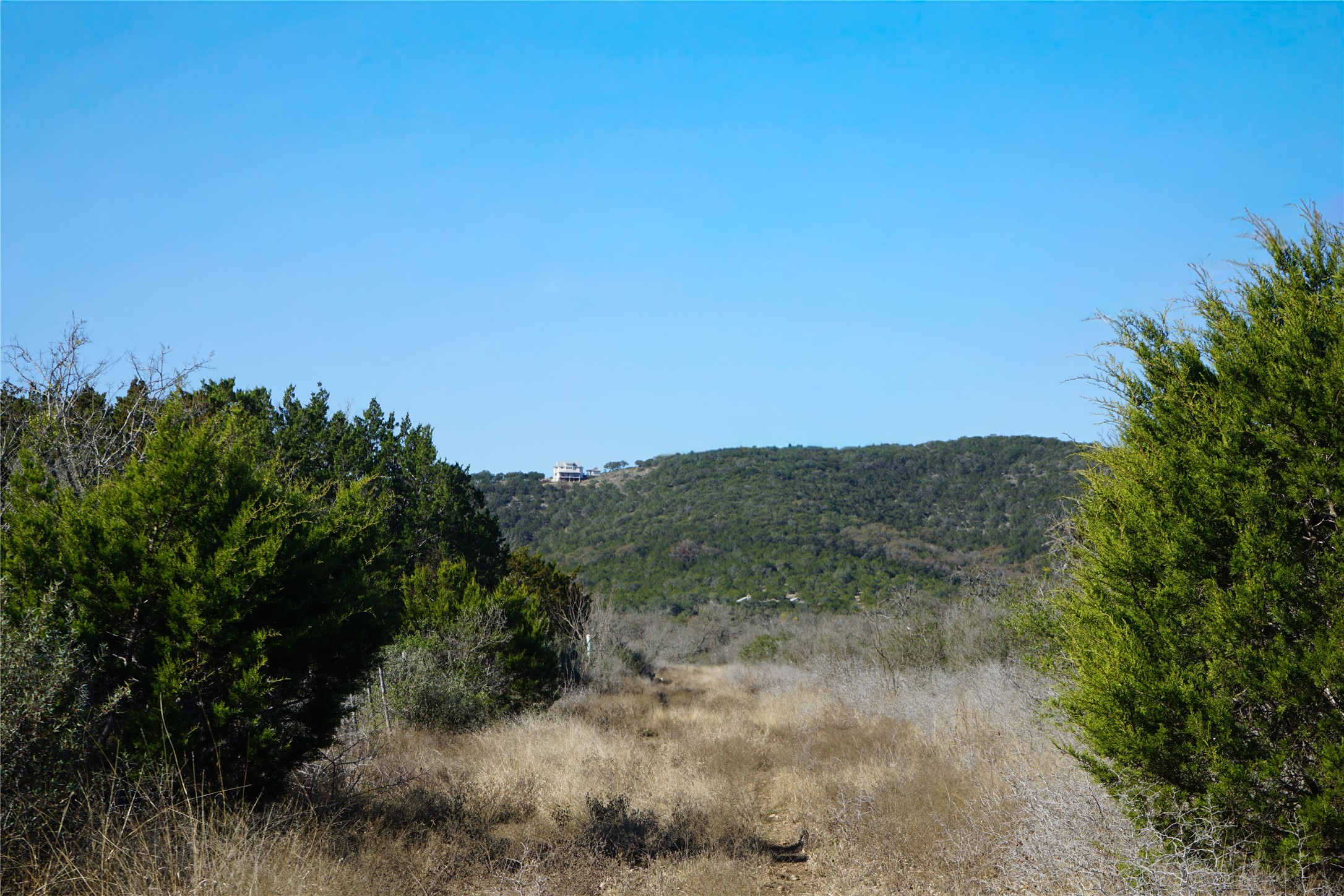 831 Magers Road Concan, TX 78838 - Photo 35 of 39 View of mountain background featuring a heavily wooded area