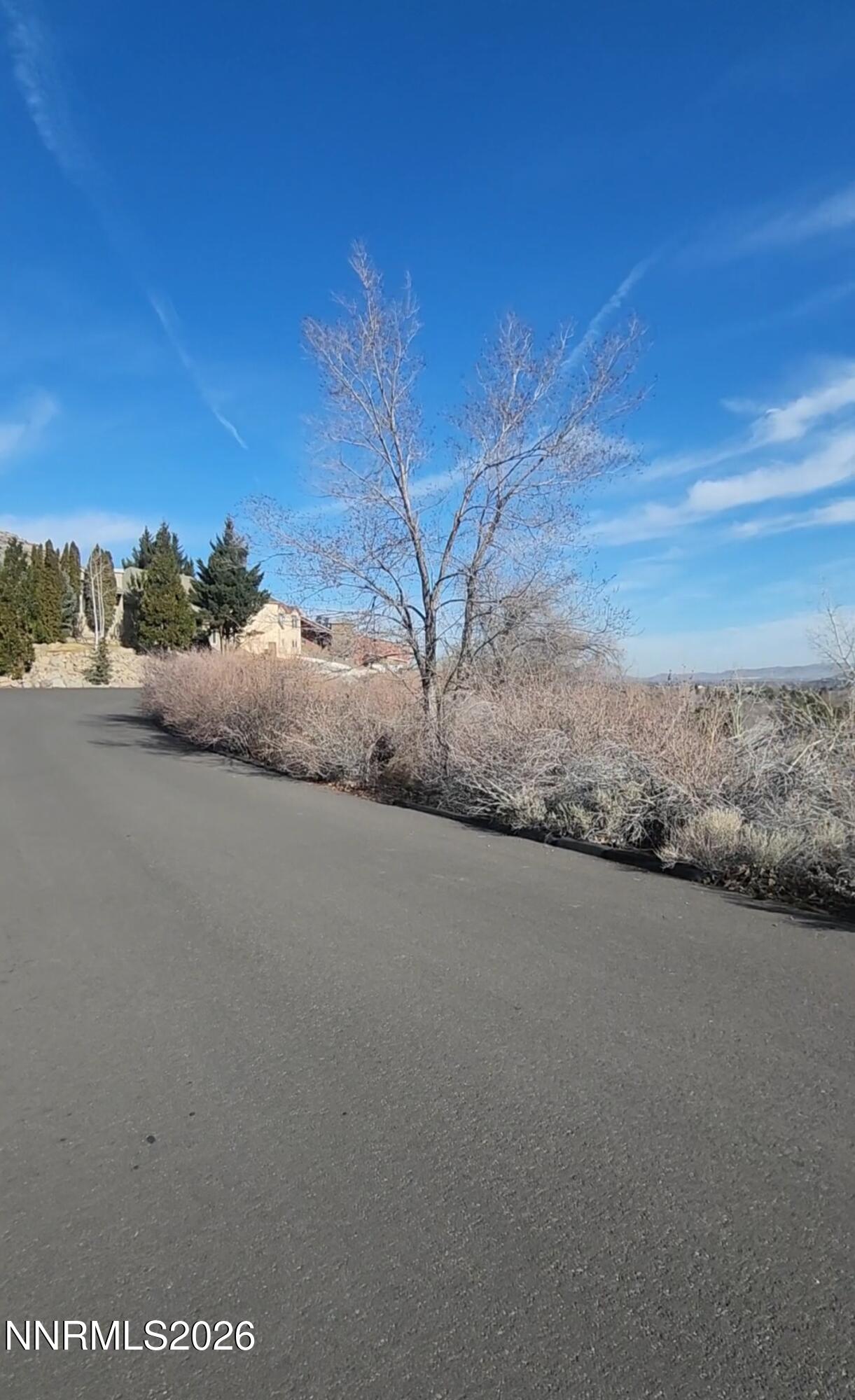 a view of a road with a yard