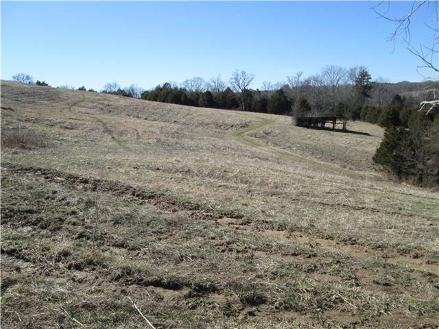 154 West Potter Road Alexandria, TN 37012 - Photo 8 of 20 Gallery Image 8