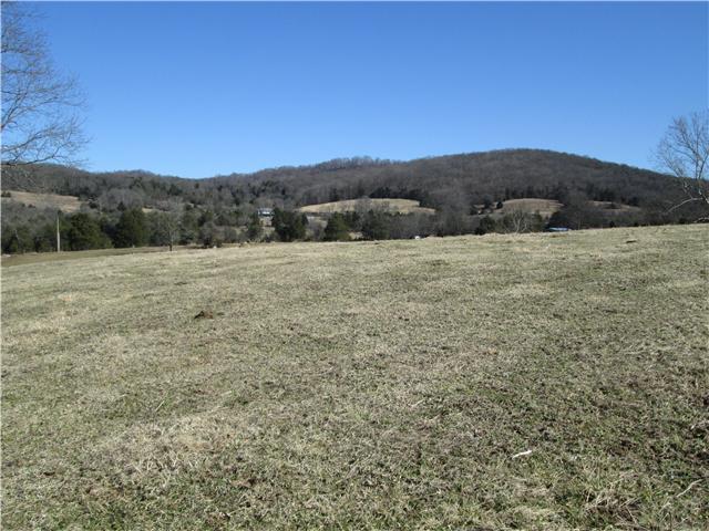 154 West Potter Road Alexandria, TN 37012 - Photo 9 of 20 Gallery Image 9