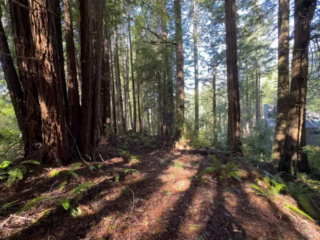 a view of backyard with green space