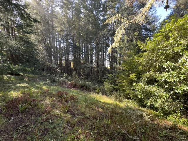 a view of city and ocean