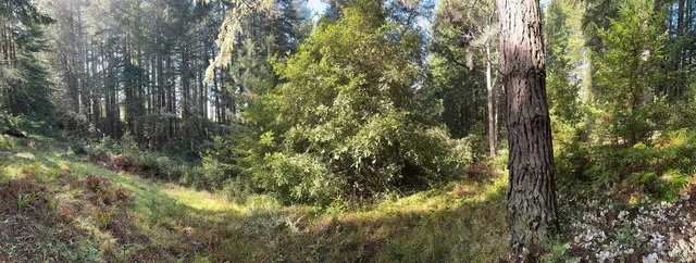 a sign that is on a pole