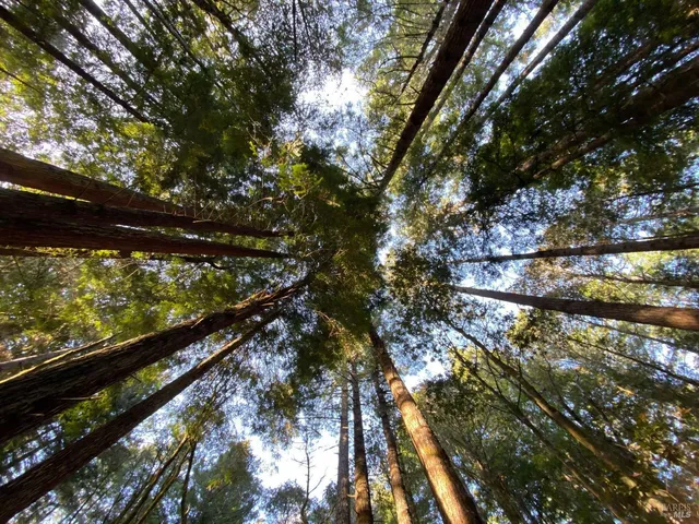 a front view of a building with street view