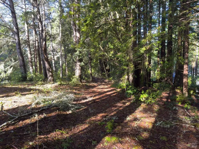 a view of outdoor space with trees