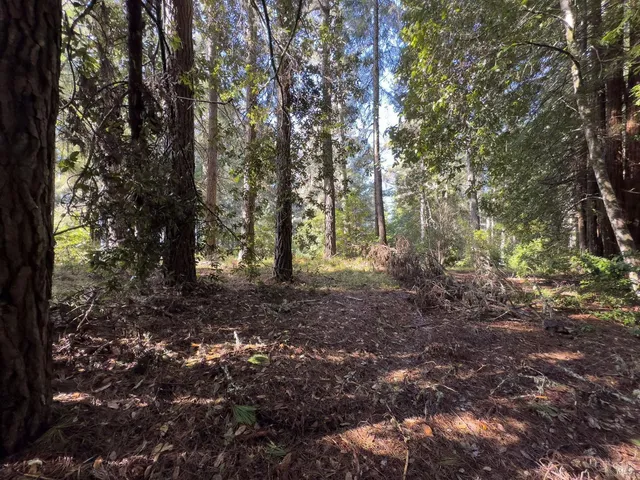 a view of outdoor space and green space