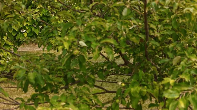 $299,000 | 17922 County Road 361, St. Joseph, MO 64505