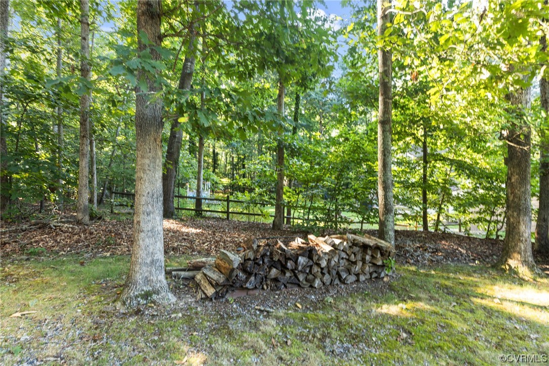 1601 Olde Coalmine Road Midlothian, VA 23113 - Photo 39 of 40 a view of a forest with trees