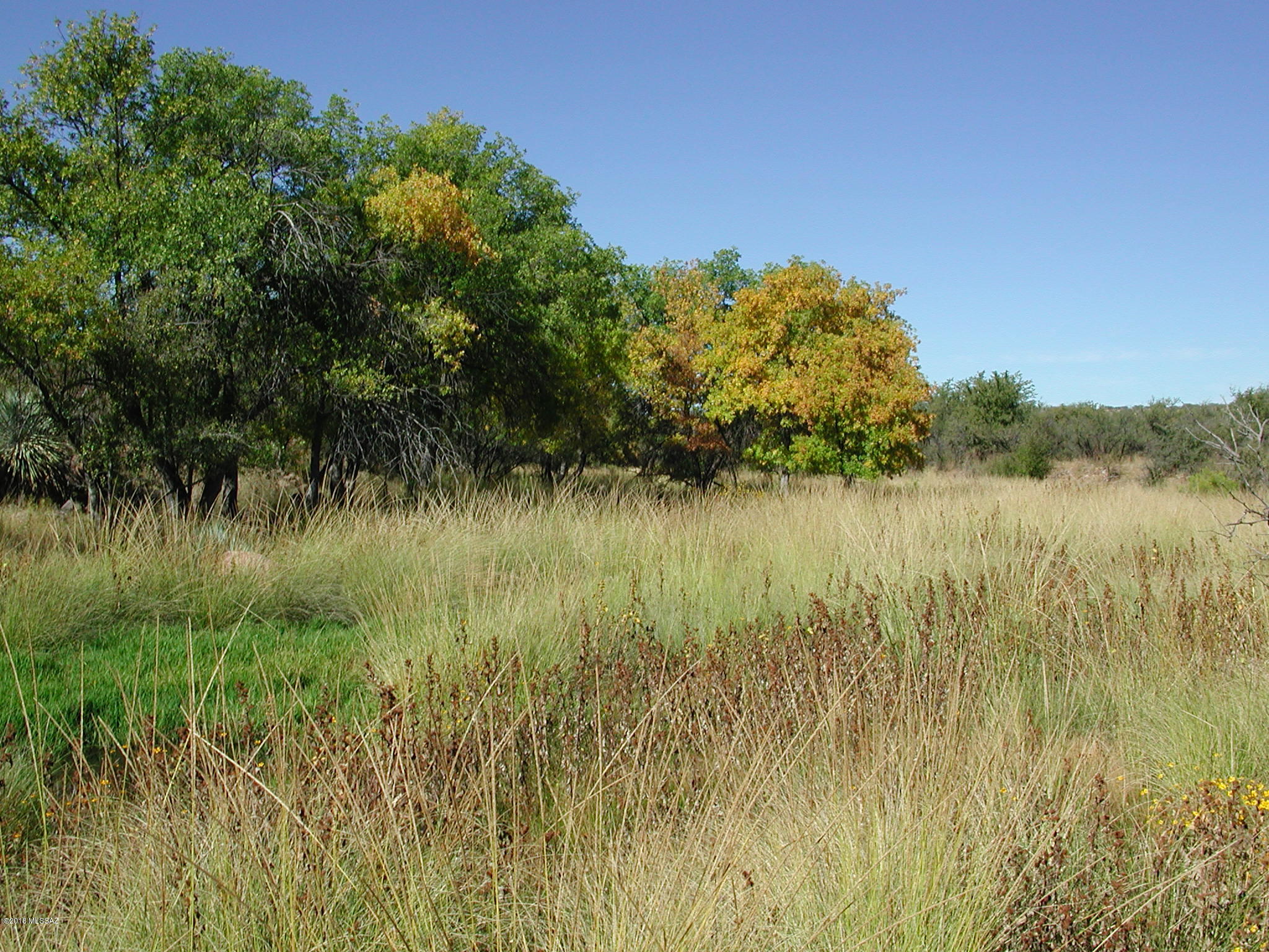 Tbd Bond Canyon Road, Unit 32/1 Rio Rico, AZ 85648 - Photo 2 of 23