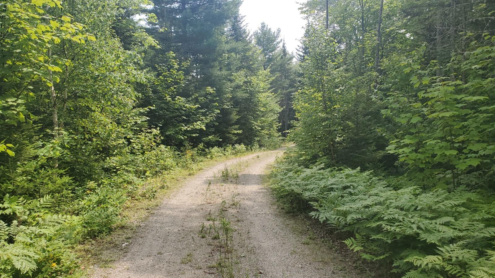 Lot C Lot C Birch Point Road Cooper, ME 04657 - Photo 11 of 11 20210716_132859