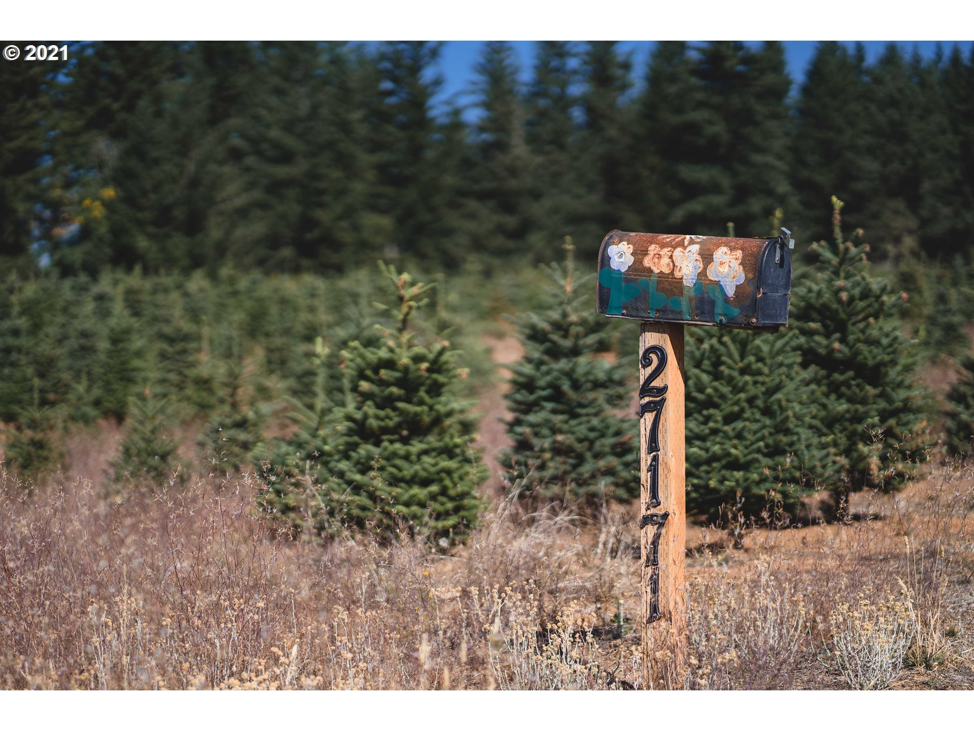 27171 South Sheckly Road Colton, OR 97017 - Photo 3 of 28