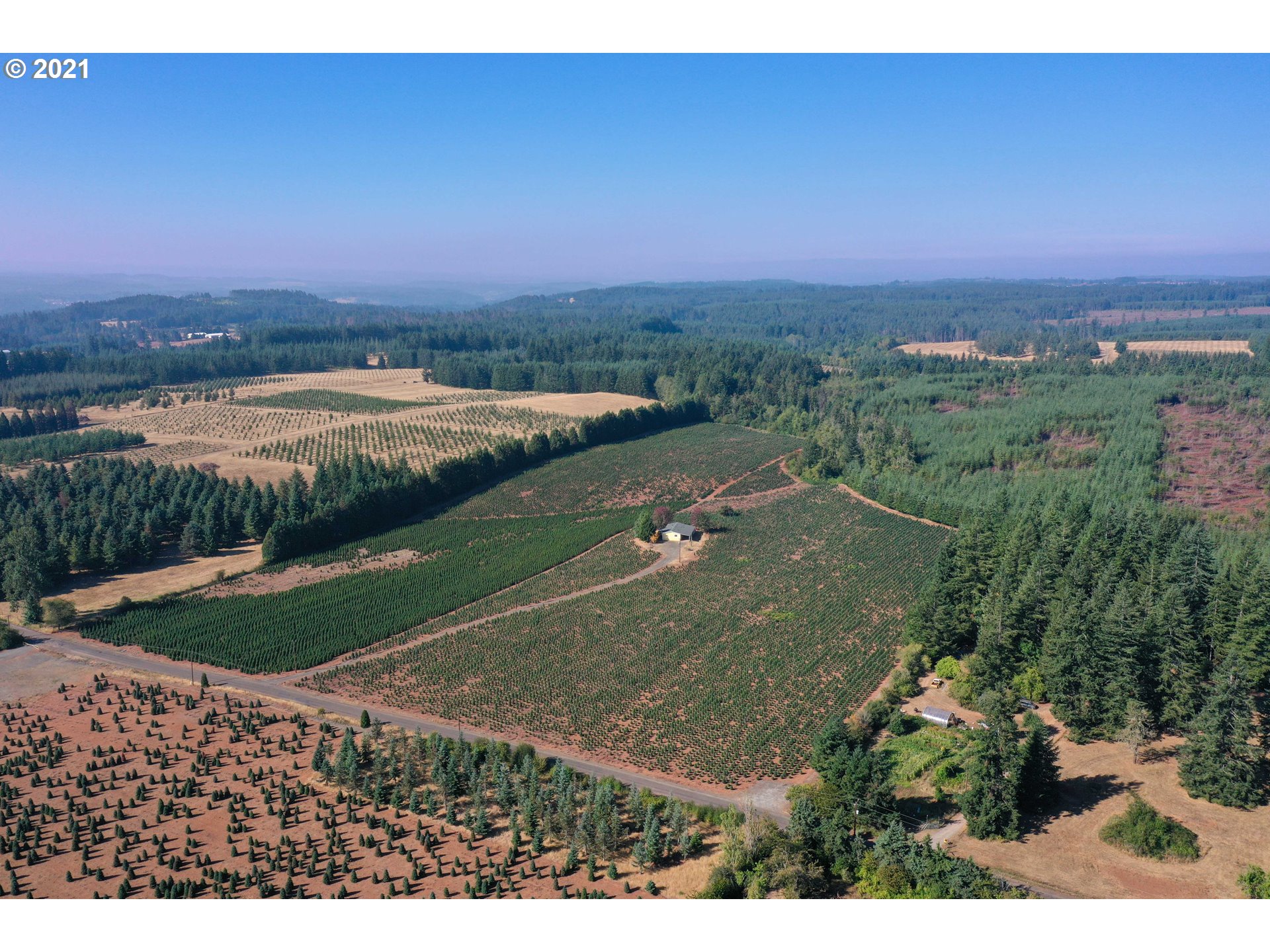 27171 South Sheckly Road Colton, OR 97017 - Photo 4 of 28