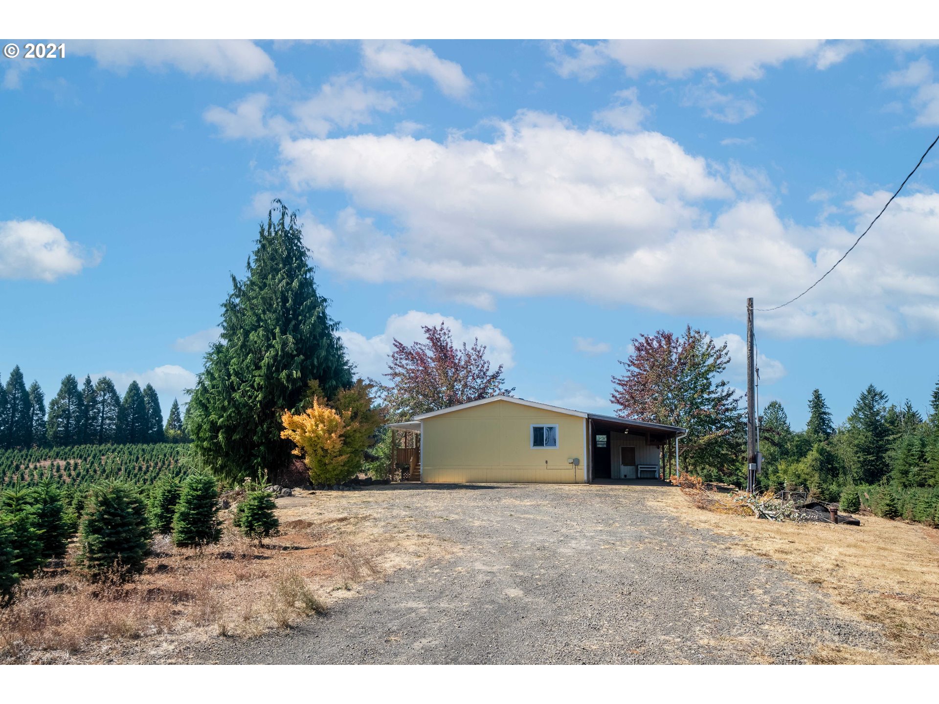 27171 South Sheckly Road Colton, OR 97017 - Photo 6 of 28