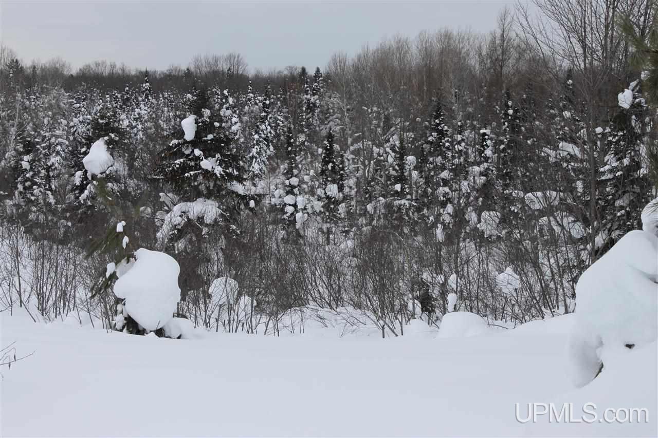 Tbd Emily Lake Road Toivola, MI 49965 - Photo 30 of 36 Gallery Image 30