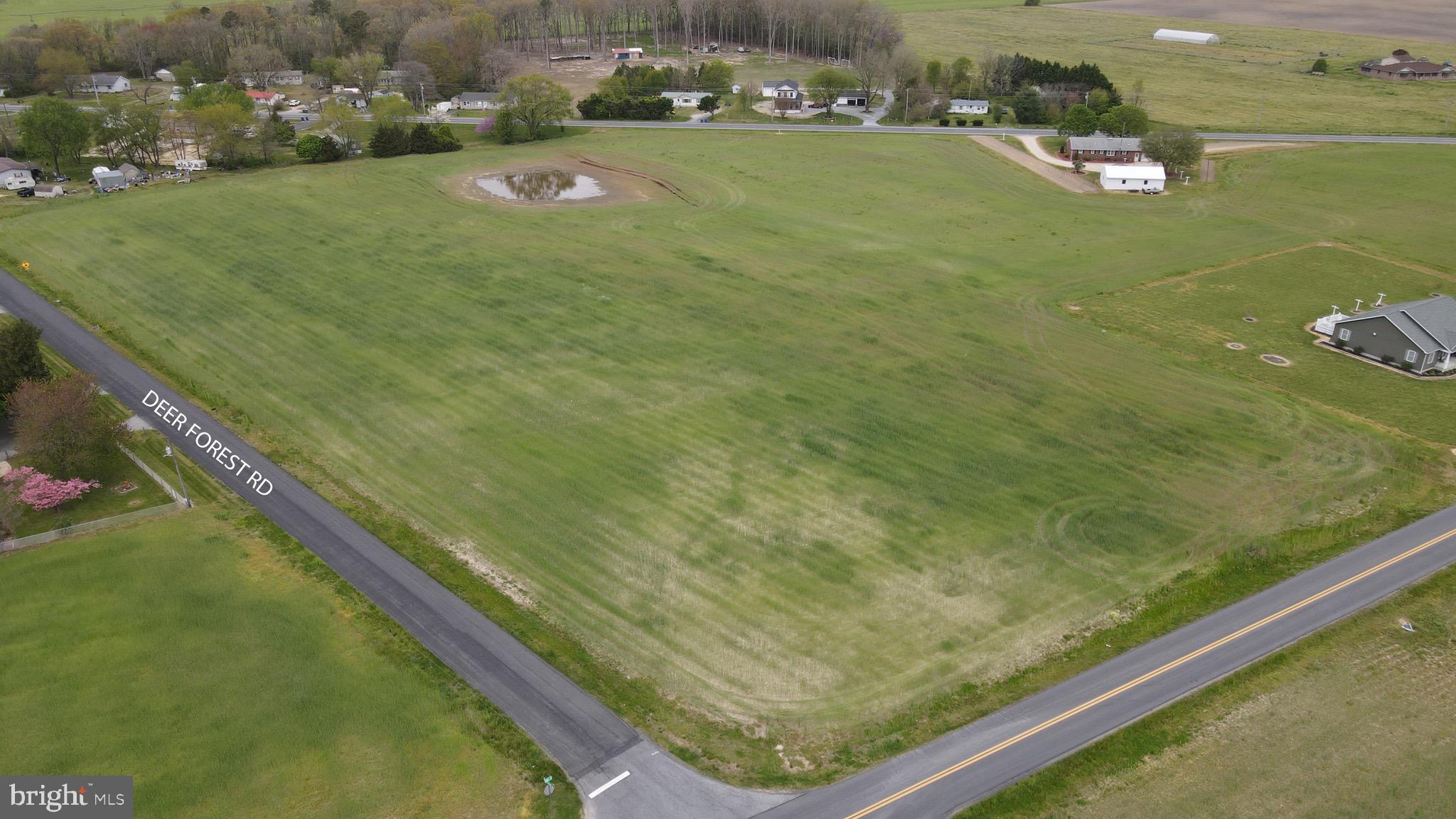 Lot 3 Deer Forest Road Bridgeville, DE 19933 - Photo 3 of 4 Gallery Image 3