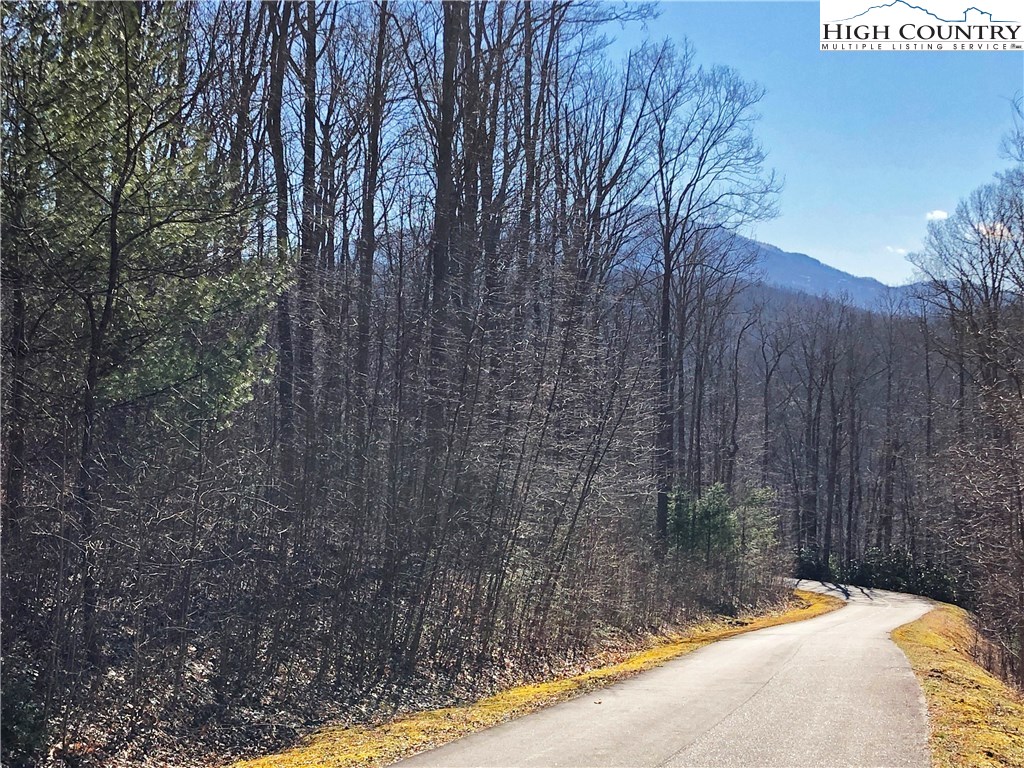 Lot 342 Twin Rivers Drive Boone, NC 28607 - Photo 1 of 29 Gallery Image 1