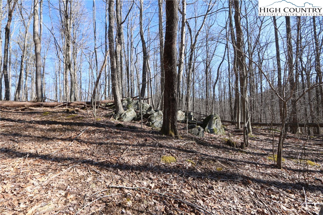 Lot 342 Twin Rivers Drive Boone, NC 28607 - Photo 12 of 29 Gallery Image 12