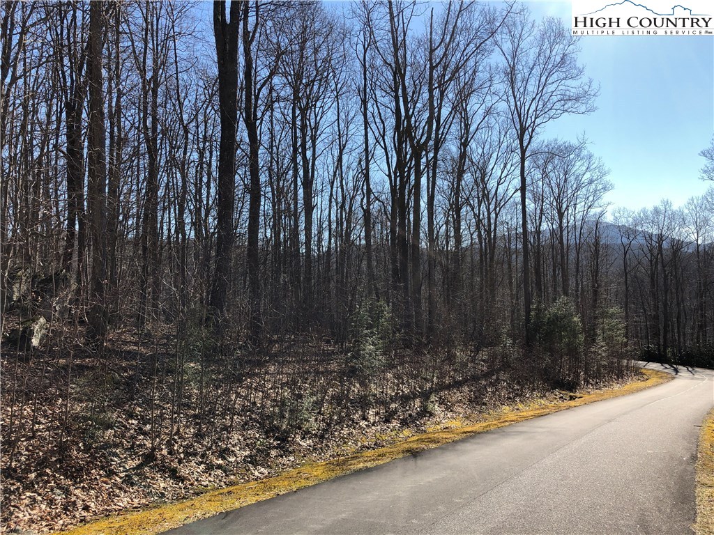 Lot 342 Twin Rivers Drive Boone, NC 28607 - Photo 14 of 29 Gallery Image 14