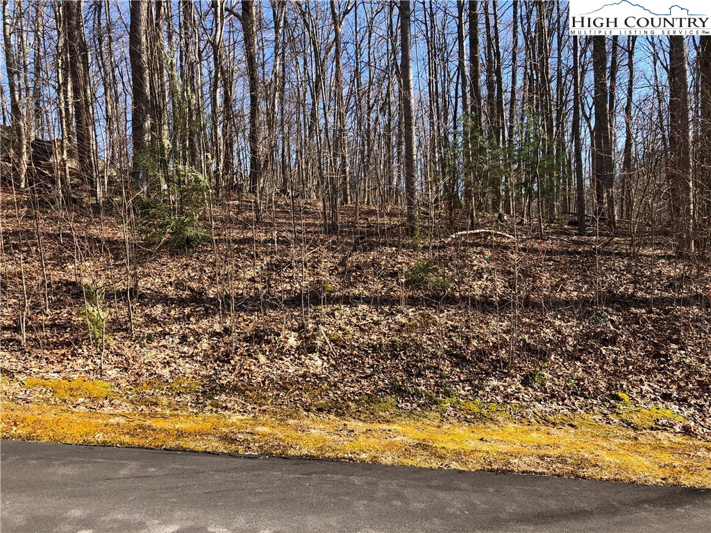 Lot 342 Twin Rivers Drive Boone, NC 28607 - Photo 17 of 29 Gallery Image 17