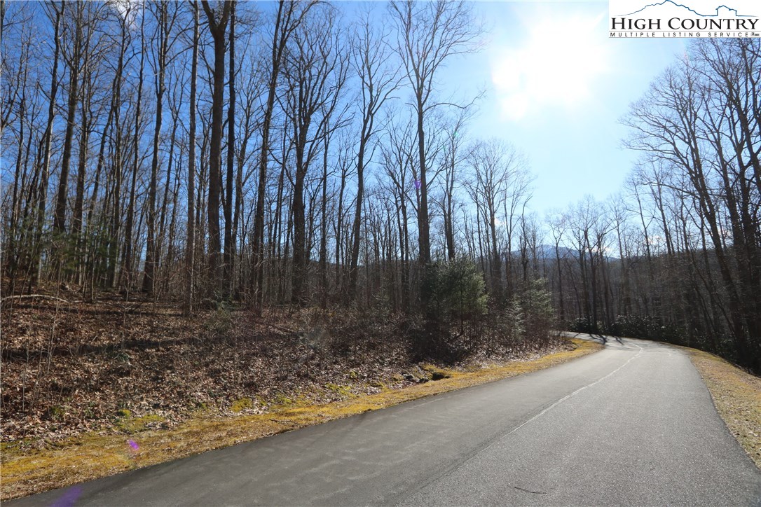Lot 342 Twin Rivers Drive Boone, NC 28607 - Photo 3 of 29 Gallery Image 3