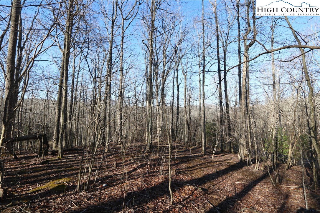 Lot 342 Twin Rivers Drive Boone, NC 28607 - Photo 4 of 29 Gallery Image 4