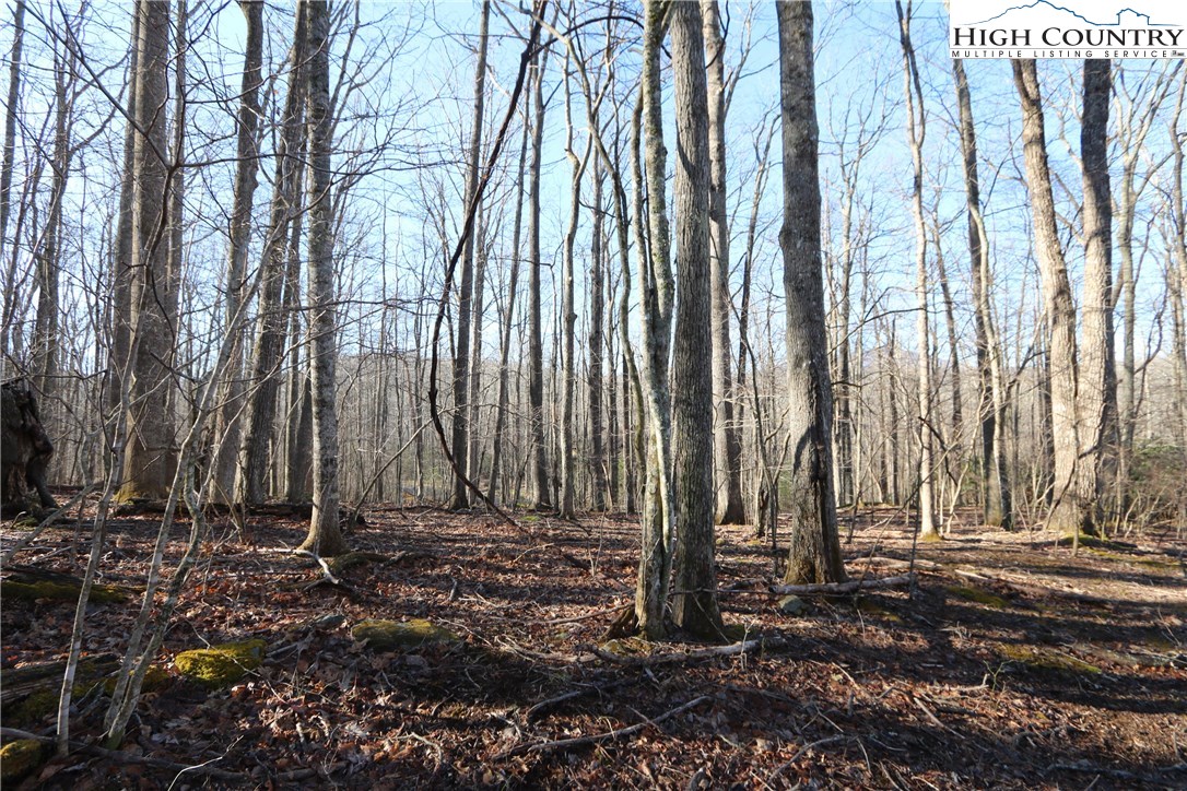 Lot 342 Twin Rivers Drive Boone, NC 28607 - Photo 5 of 29 Gallery Image 5
